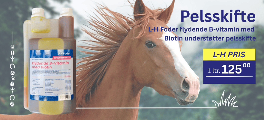 L-H Foders B-vitamin understøtter hestens pelsskifte | Skarp LH Pris