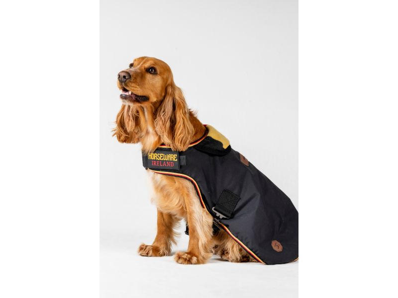 Horseware Dog Newmarket Gold
